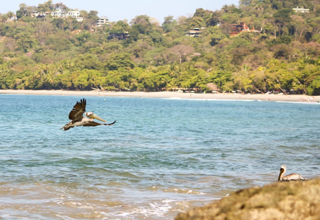 Manuel Antonio Costa Rica