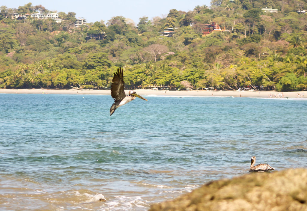 Manuel Antonio Costa Rica