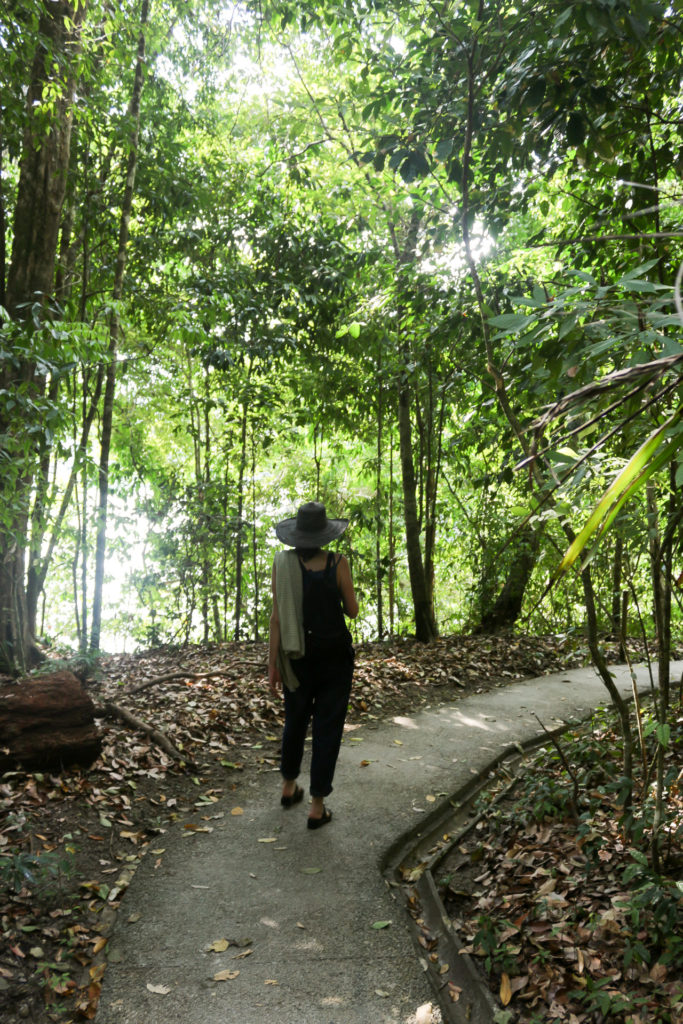 Manuel Antonio Costa Rica