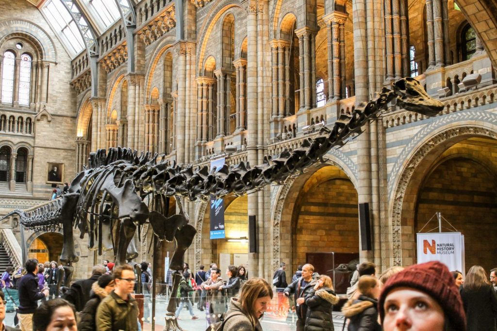 NHM London UK