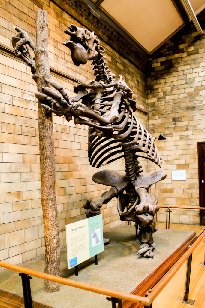 NHM London UK